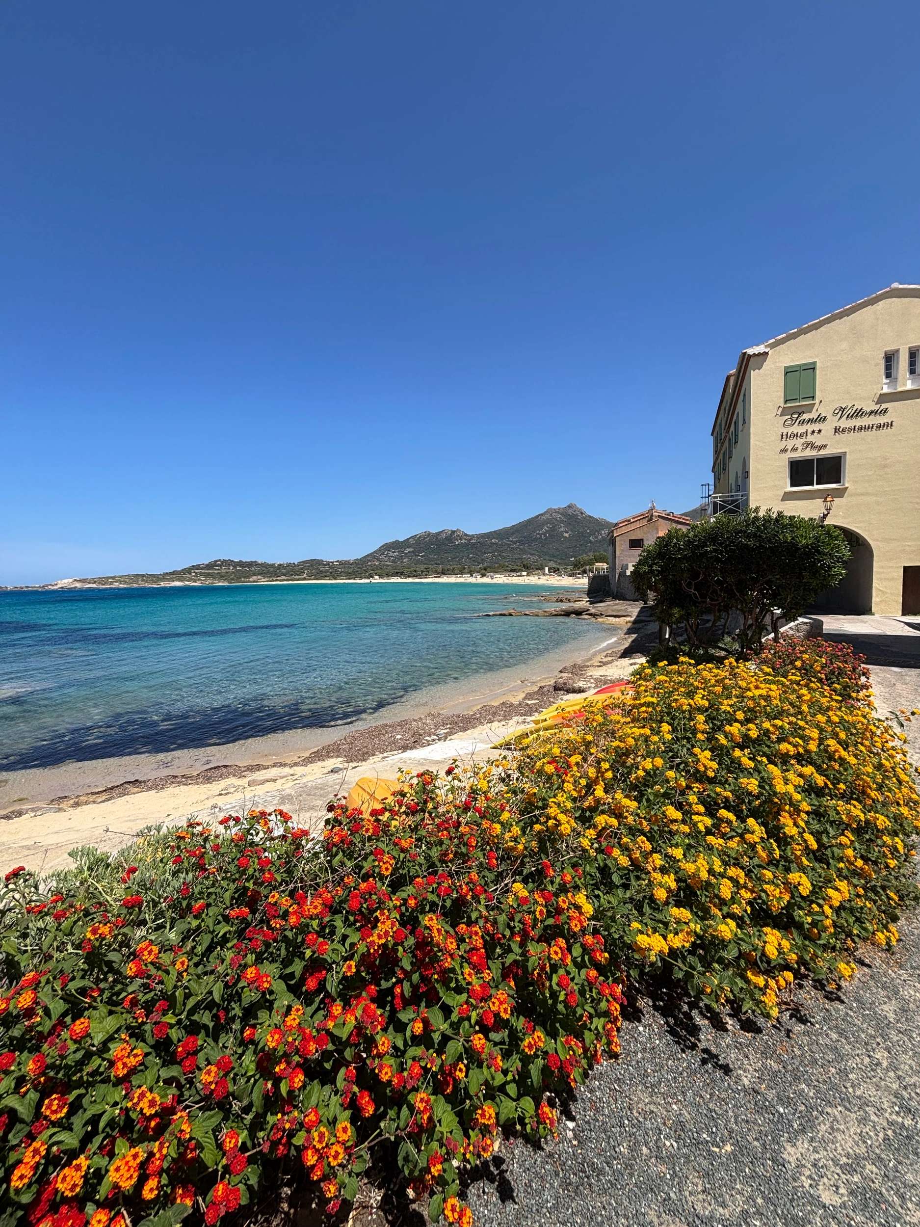 Hôtel bord de mer avec fleurs rouges et jaunes face à une plage turquoise en Méditerranée